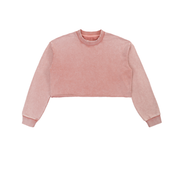 Edge Cropped Sweatshirt