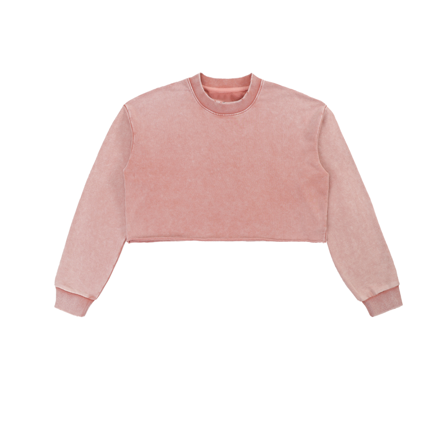 Edge Cropped Sweatshirt