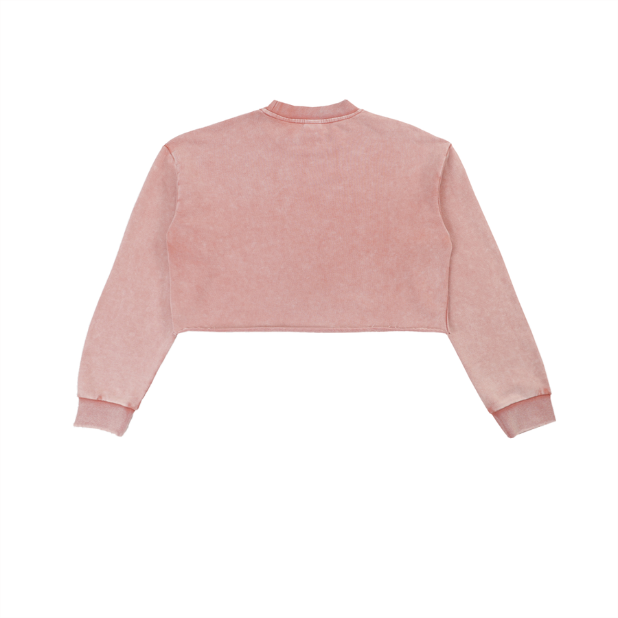 Edge Cropped Sweatshirt