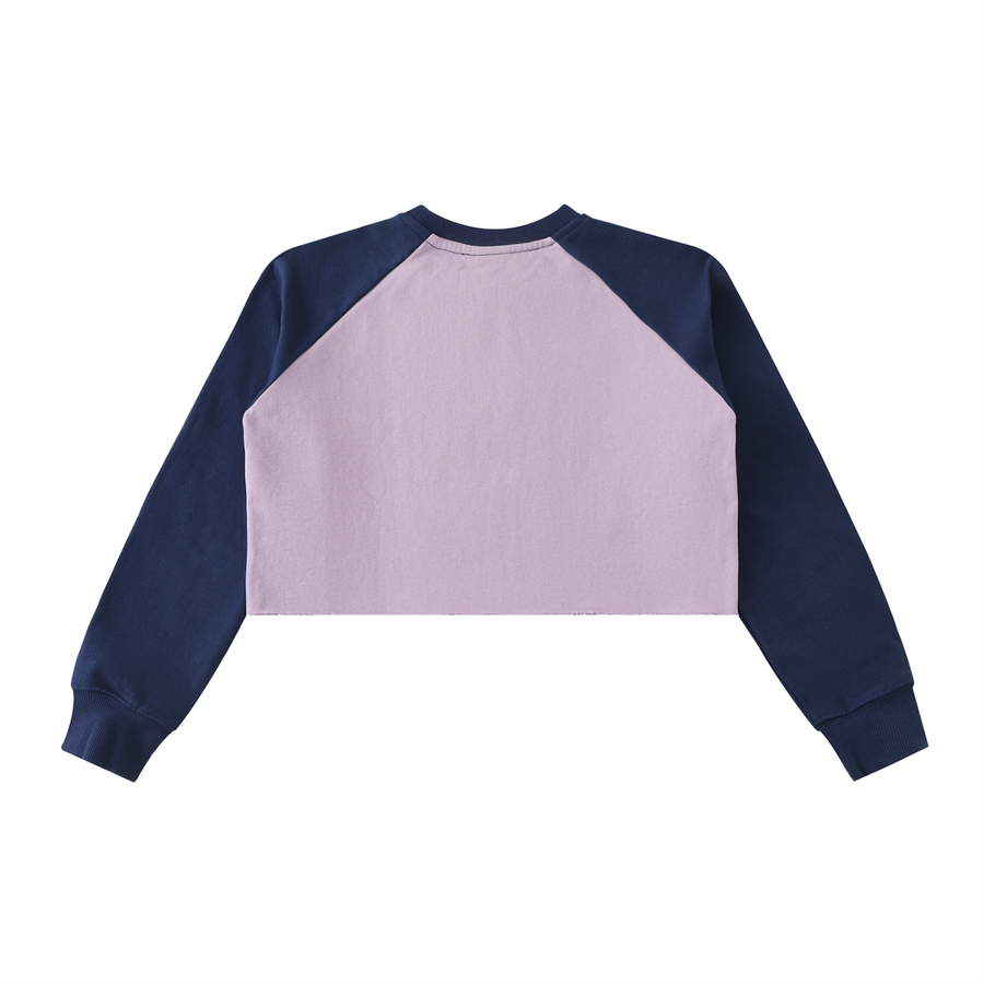 Raglan Crop Sweatshirt